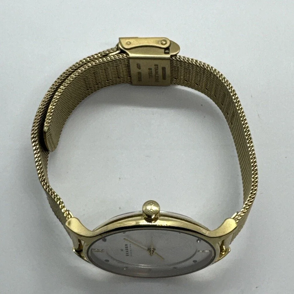 Skagen Anita Lille SKW2150 Women's Gold Stainless Steel Mesh Analog Watch AEA309